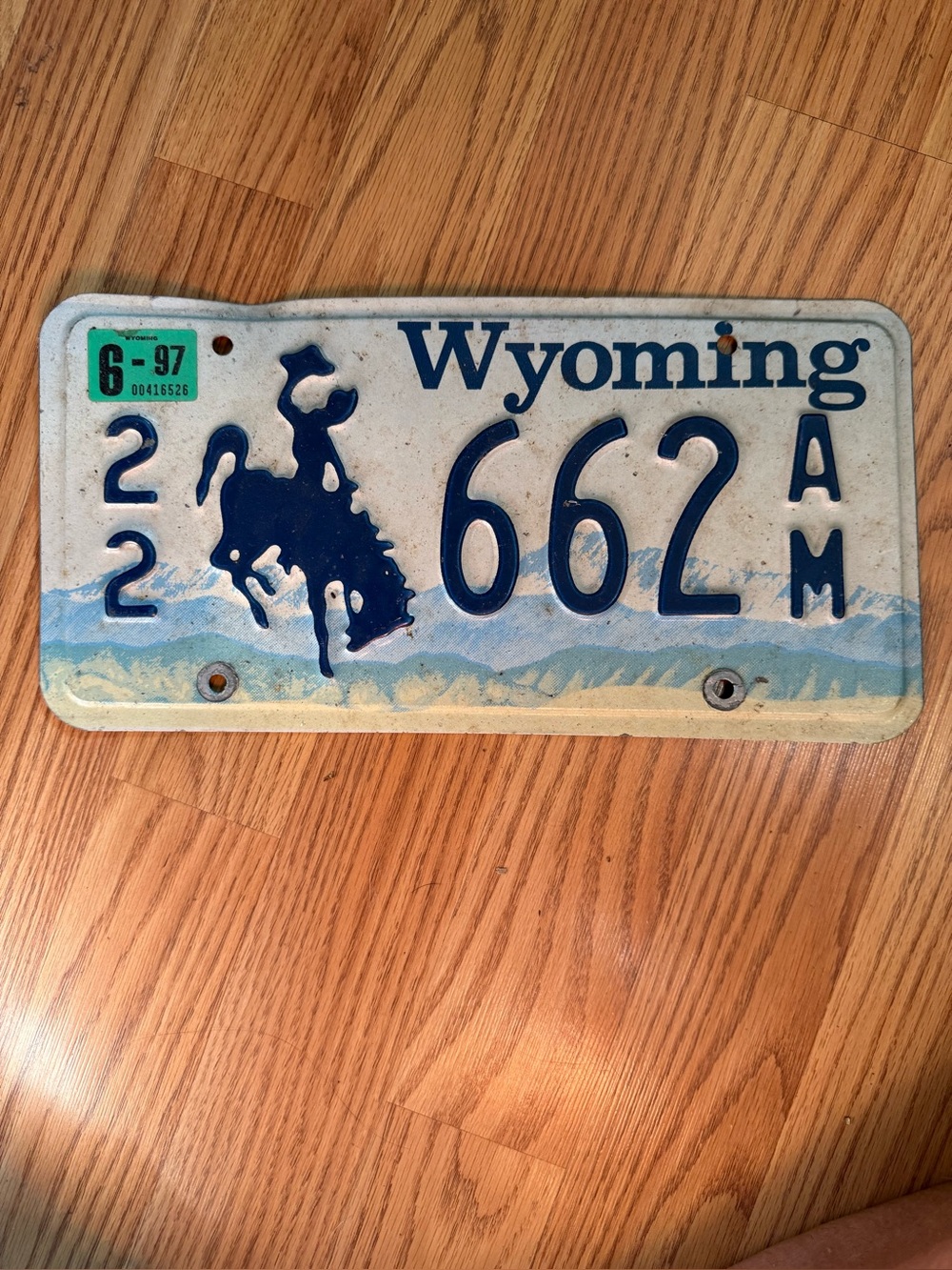 Wyoming Blue Retro License Plate Wall Accent, 1997